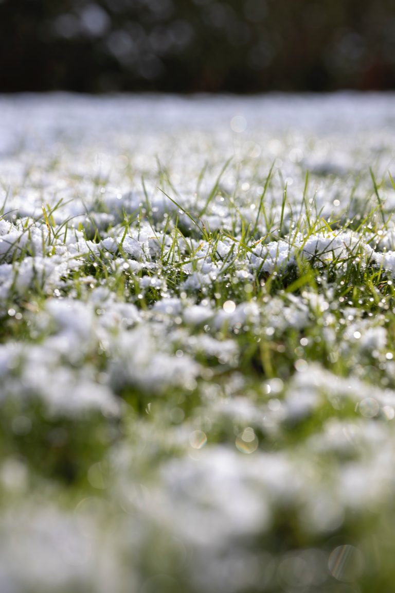 irrigation snow on lawn
