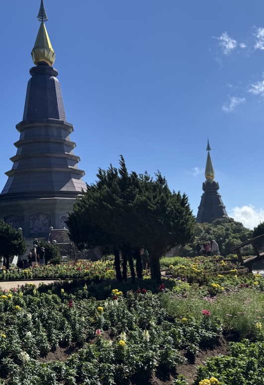 summer plans travel abroad thai wat